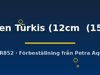 flächen Türkis (12cm  (15cm))