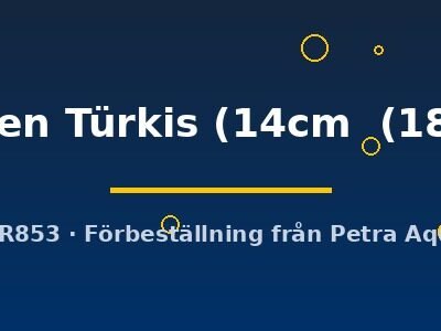 flächen Türkis (14cm  (18cm))