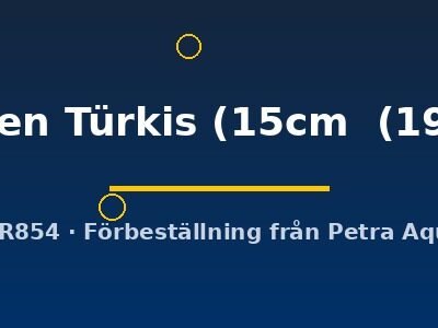 flächen Türkis (15cm  (19cm))