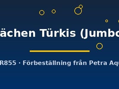 Discus orig Stendker flächen Türkis Jumbo