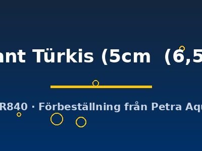 briliant Türkis (5cm  (6,5cm))