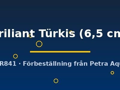 briliant Türkis (6,5 cm)
