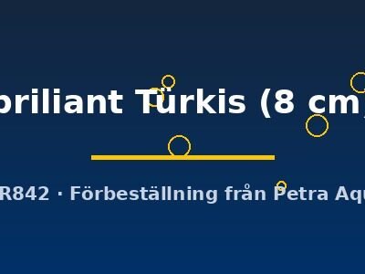 briliant Türkis (8 cm)