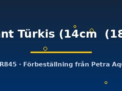 briliant Türkis (14cm  (18cm))