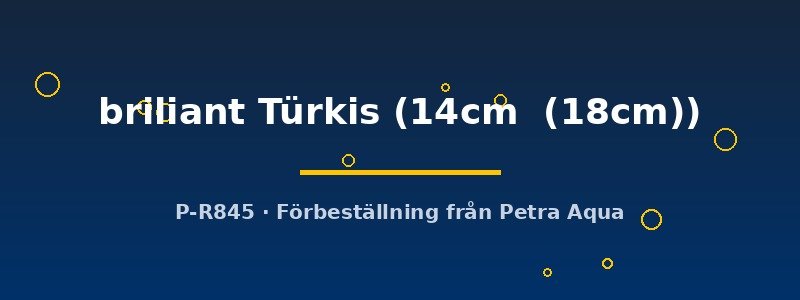 petra-ph2-174681 Discus orig. Stendker briliant Türkis 14–18 cm