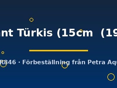 briliant Türkis (15cm  (19cm))