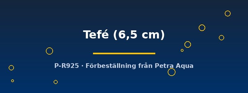 petra-ph2-174684 Discus original Stendker Tefé 6,5 cm