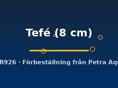 Discus original Stendker Tefé 8 cm
