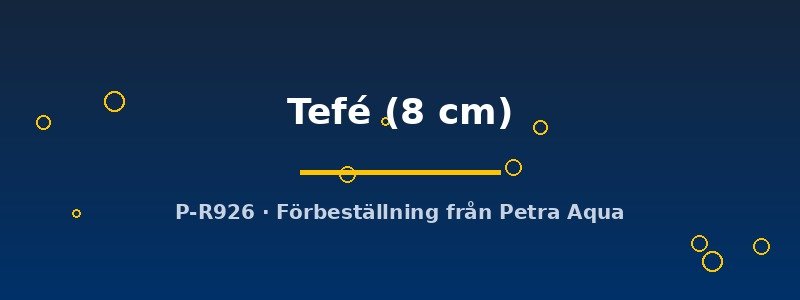 petra-ph2-174685 Discus original Stendker Tefé 8 cm