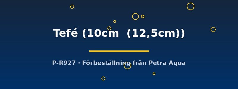 petra-ph2-174686 Discus original Stendker Tefé 10–12,5 cm
