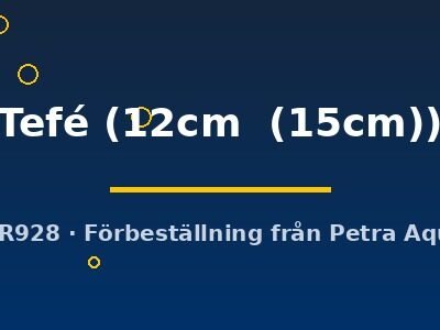 Discus original Stendker Tefé 12–15 cm
