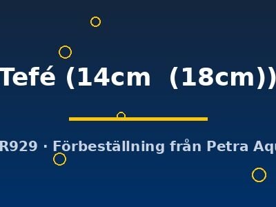Discus original Stendker Tefé 14–18 cm