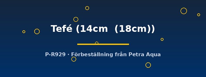 petra-ph2-174688 Discus original Stendker Tefé 14–18 cm
