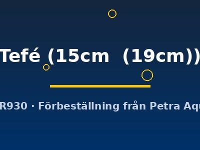 Discus original Stendker Tefé 15–19 cm