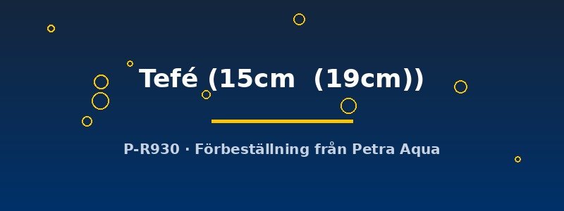 petra-ph2-174689 Discus original Stendker Tefé 15–19 cm