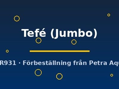 Discus original Stendker Tefé Jumbo