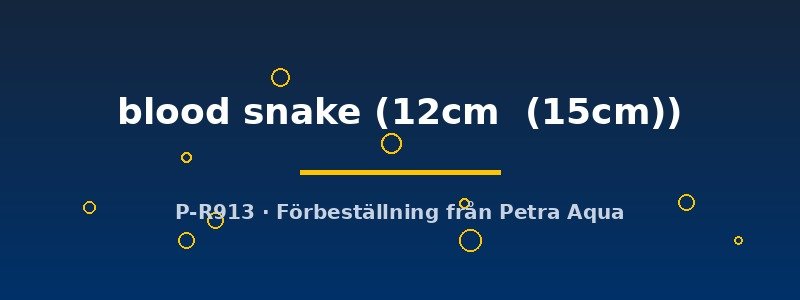 petra-ph2-174692 Discus original Stendker blood snake 12–15 cm