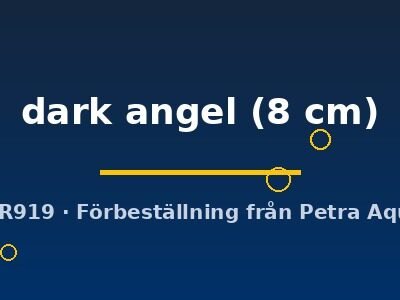 Discus original Stendker dark angel 8 cm
