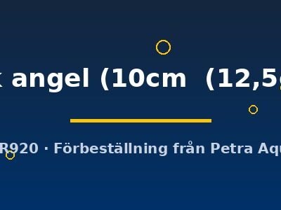 Discus original Stendker dark angel 10–12,5 cm