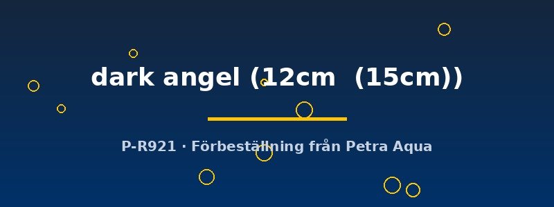 petra-ph2-174696 Discus original Stendker dark angel 12–15 cm