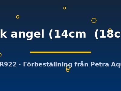 Discus original Stendker dark angel 14–18 cm