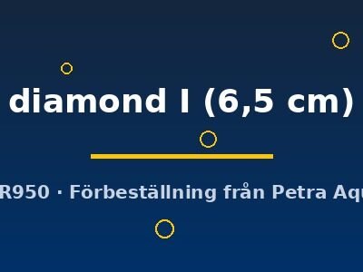 Discus original Stendker diamond I 6,5 cm
