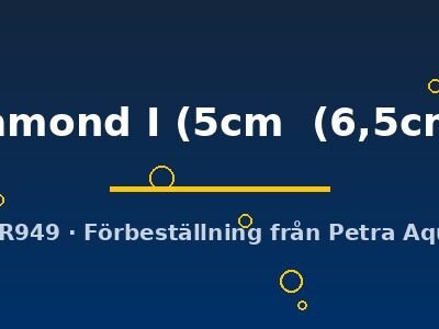 Discus original Stendker diamond I 5–6,5 cm