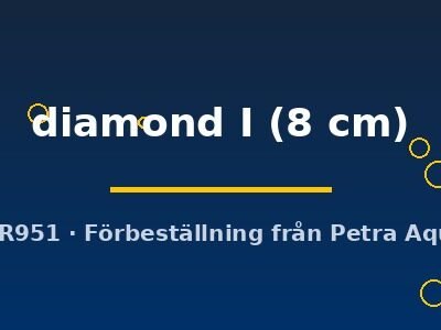 Discus original Stendker diamond I 8 cm
