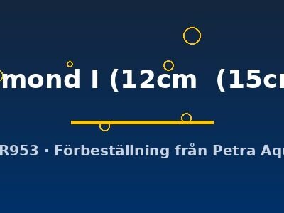 Discus original Stendker diamond I 12–15 cm