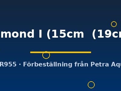Discus original Stendker diamond I 15–19 cm