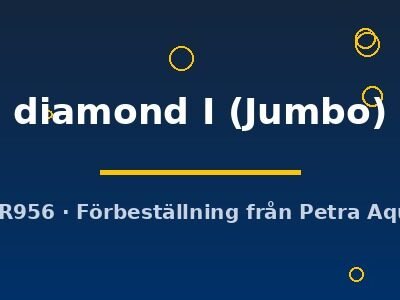 Discus original Stendker diamond I Jumbo
