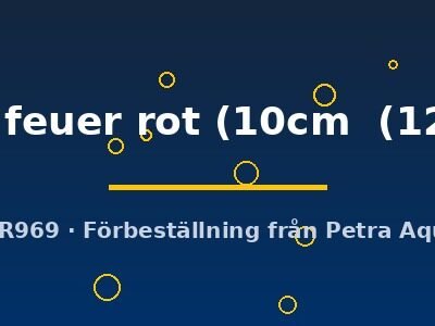 Discus original Stendker flächig feuer rot 10–12,5 cm