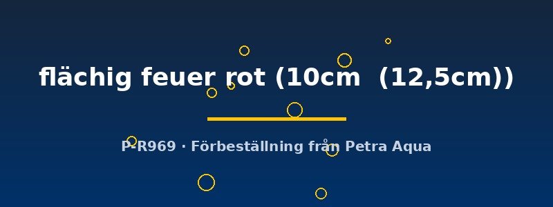 petra-ph2-174711 Discus original Stendker flächig feuer rot 10–12,5 cm