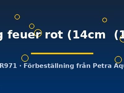 Discus original Stendker flächig feuer rot 14–18 cm
