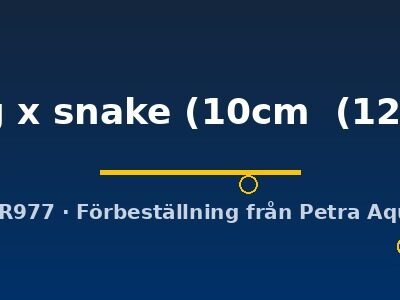 Discus original Stendker flächig x snake 10–12,5 cm