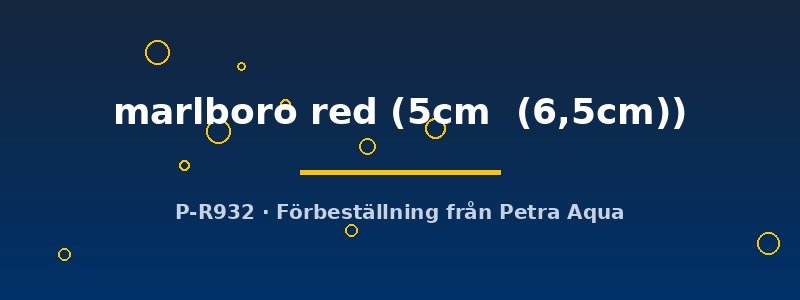 petra-ph2-174725 petra-ph2-174725