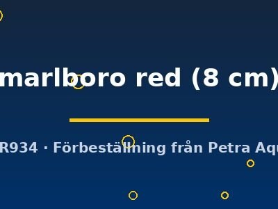 Discus original Stendker marlboro red 8 cm