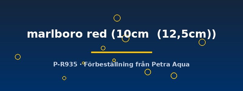 petra-ph2-174728 Discus original Stendker marlboro red 10–12,5 cm