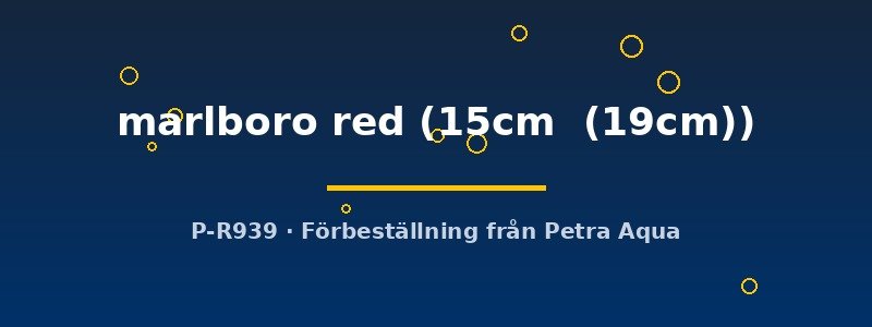 petra-ph2-174731 Discus original Stendker marlboro red 15–19 cm