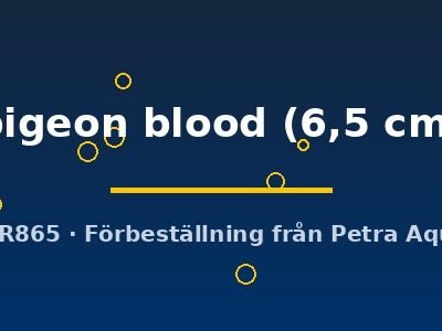 pigeon blood (6,5 cm)