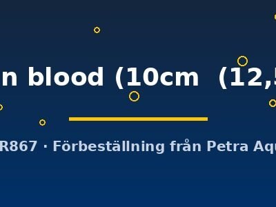 Discus original Stendker pigeon blood 10–12,5 cm