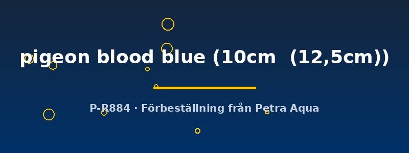 petra-ph2-174750 Discus original Stendker pigeon blood blue 10–12,5 cm