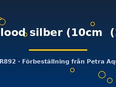 Discus original Stendker pigeon blood silber 10–12,5 cm