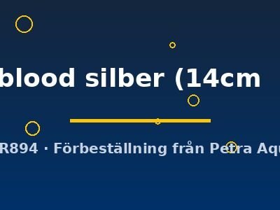 Discus original Stendker pigeon blood silber 14–18 cm