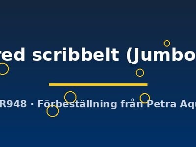 Discus original Stendker red scribbelt Jumbo