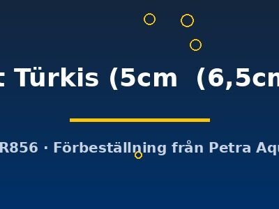 rot Türkis (5cm (6,5cm))