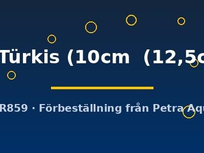 rot Türkis (10cm (12,5cm))