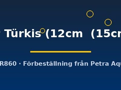 rot Türkis (12cm (15cm))