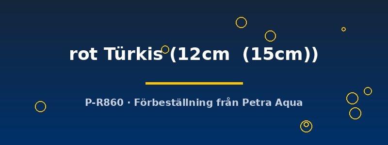 petra-ph2-174772 Discus original Stendker rot Türkis 12–15 cm