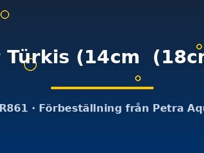 rot Türkis (14cm (18cm))